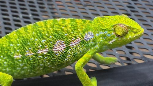 May 13th 2014 138.jpg