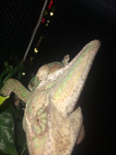 2014-07-25 22.44.20.jpg