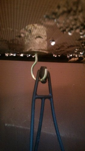 hanging plant hook.jpg