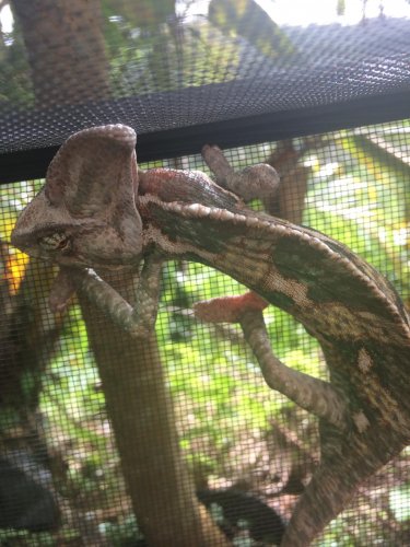 2014-07-26 16.08.33-1.jpg