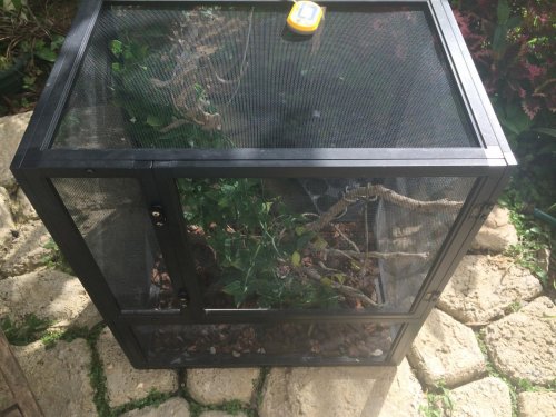 2014-07-26 16.10.07.jpg