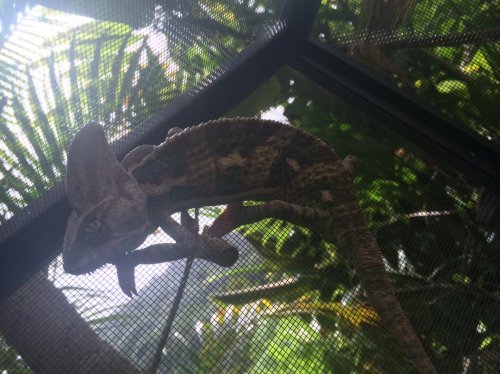 2014-07-26 16.08.42 HDR-2.jpg