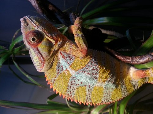 20140726_180759.jpg