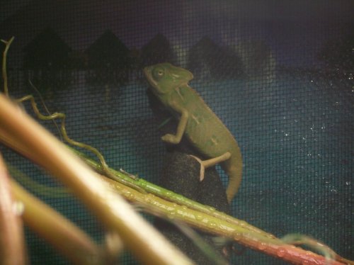100_4057.jpg