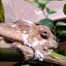 20140721_110609[1].jpg