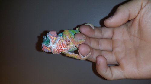 20140806_140812.jpg