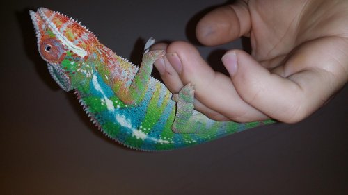 20140806_140831.jpg