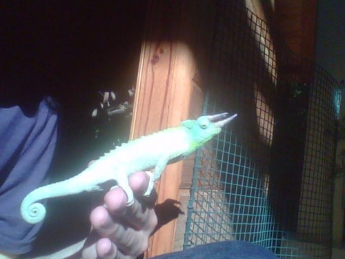 Tricky day 120 (4).jpg