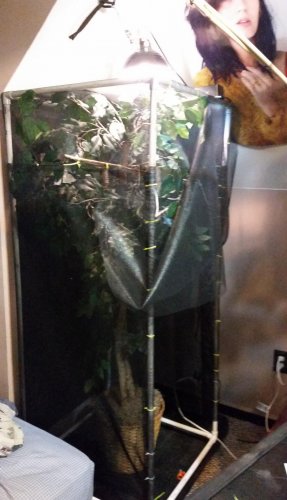 20140807_221524.jpg