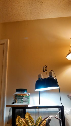 IMG_20140811_114227_303.jpg