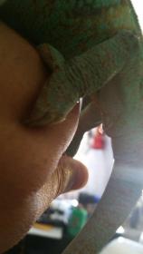 20140814_130540.jpg