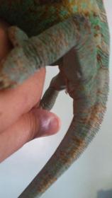 20140814_130551.jpg
