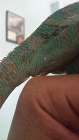 20140814_130427.jpg