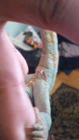 20140814_130351.jpg