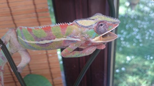 DSC_0078.jpg