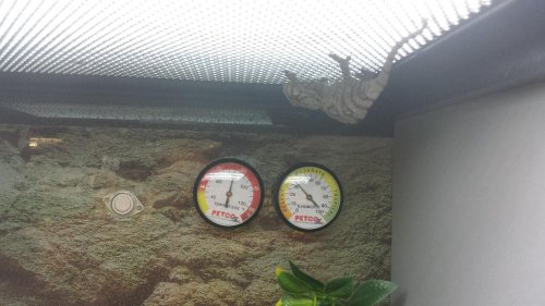 20140815_131307.jpg