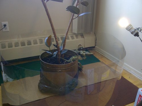 IMG-20140807-00021.jpg
