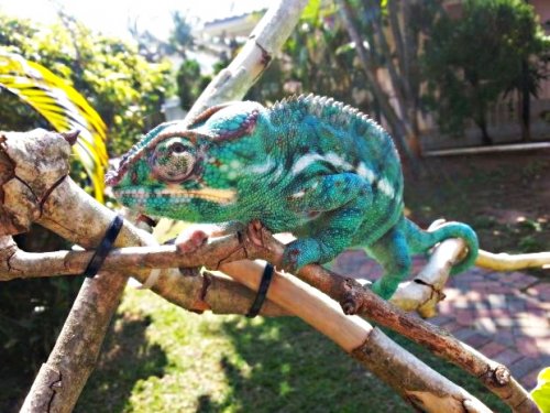 20140904_133527.jpg
