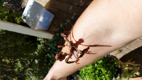 20140911_105042.jpg