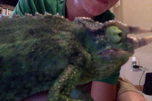 Photo on 9-12-14 at 6.38 PM #2.jpg