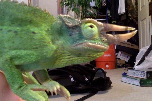 Photo on 9-9-14 at 6.36 PM #2.jpg