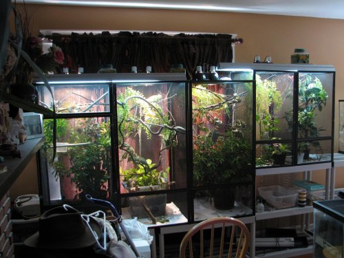 Chameleon Rack from Left.jpg