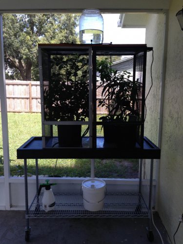 2014-09-14 12.32.08.jpg