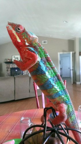IMAG0218_1.jpg