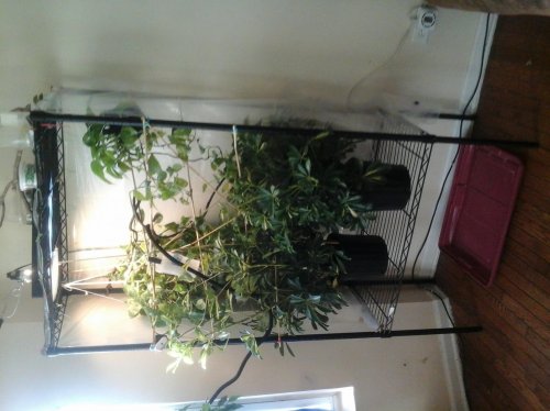 20140924_090601.jpg