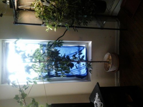 20140924_090612.jpg