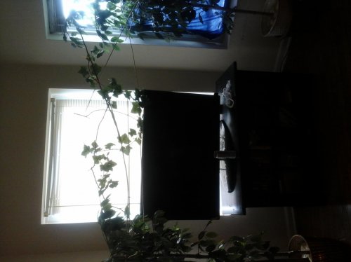 20140924_090629.jpg