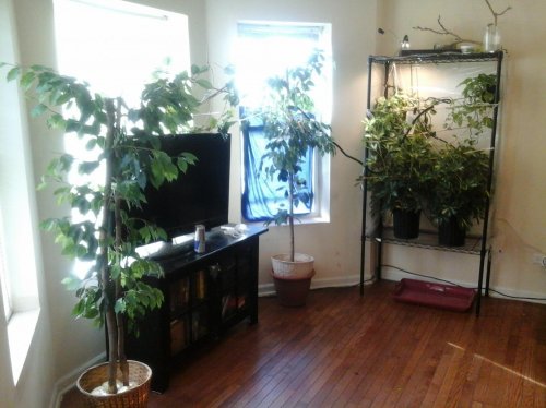 20140924_090701.jpg