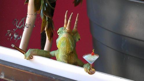 FerdieVSGrasshopper.jpg