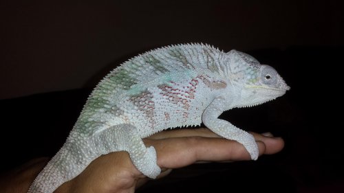 20140929_120116.jpg