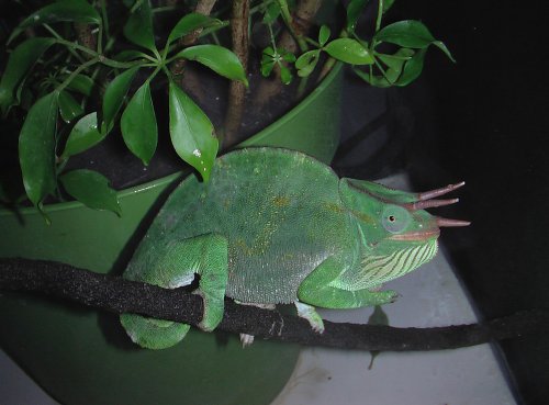 IMGA0358.jpg