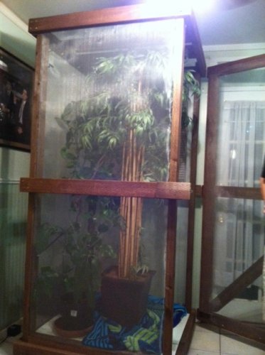 outside new cage 1.jpg