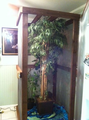 New cage 2.jpg