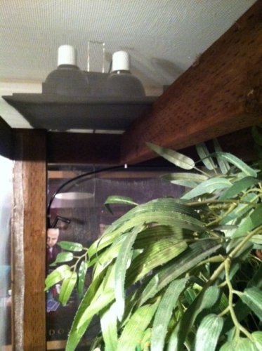 upper corner basking lights.jpg