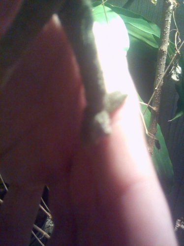 2014-10-05 21.56.05.jpg