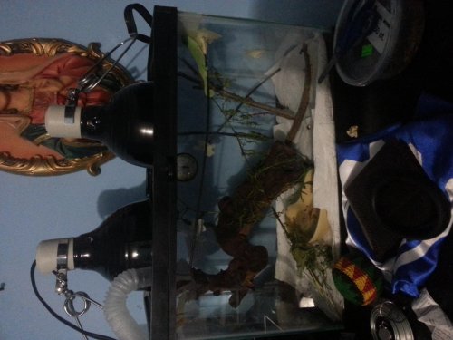 20141007_204007.jpg