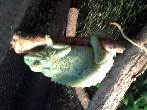 20141016_233300.jpg