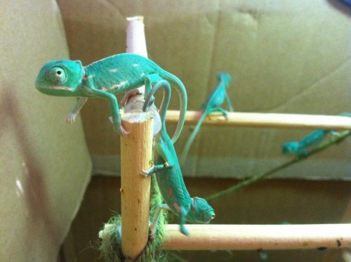 you all will wake up.jpg