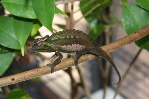 May 29, 2009 004.jpg