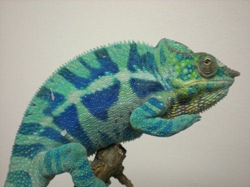 DSCN0927 [1280x768].JPG