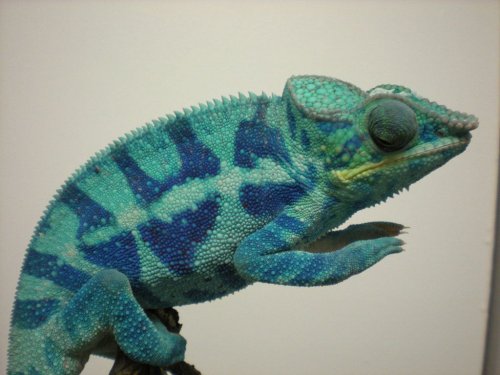 DSCN0930 [1280x768].JPG