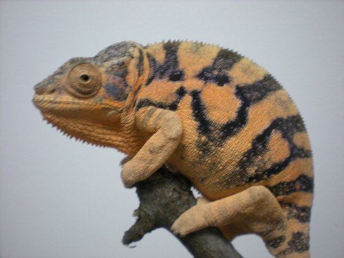 DSCN0931 [1280x768].JPG