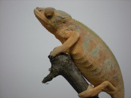 DSCN0933 [1280x768].JPG