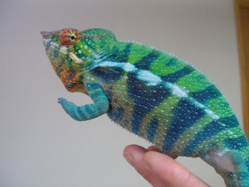 2BBA 004 [1280x768].jpg