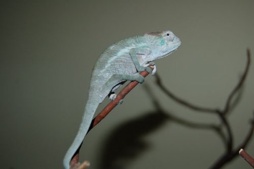 FALY 4 MONTH OLD.jpg