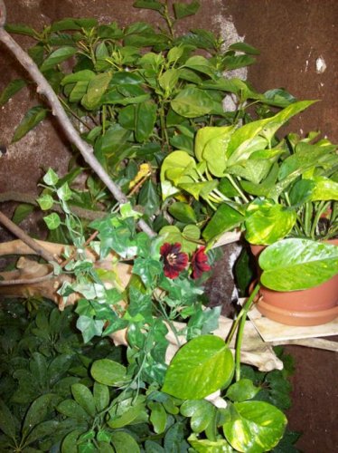107_0018.jpg